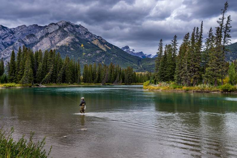 Projets de Soutien Actif pour les Enfants Maltraités au Parc National des Écrins avec la Fondation Shapeland
