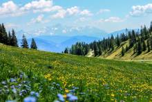 Nos prestations sur le secteur de Parc naturel régional des Pyrénées Ariégeoises